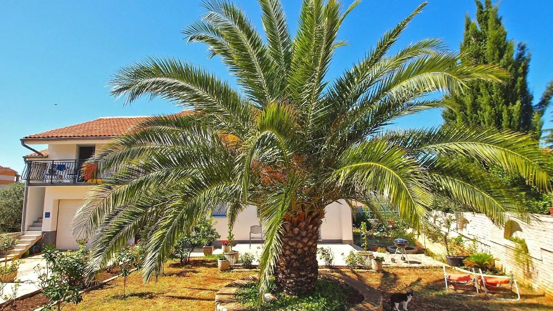 Ferienwohnung Fuer 3 Personen Ca 25 Qm In Fazana, Istrien Istrische Riviera 0*, Fazana Croatia